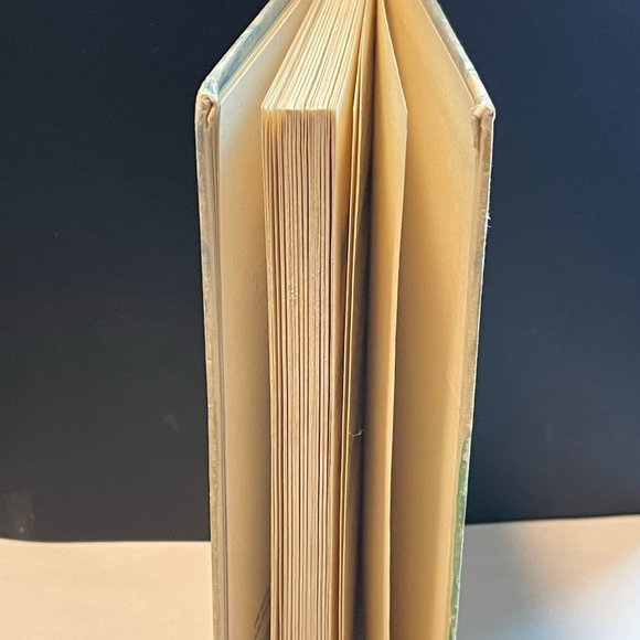 A Look of Eagles By Barbara Berry Bobbs-Merrill Company 1973 - Picture 3 of 8